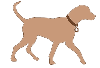 Größentabelle für Swarovski Hundehalsbänder