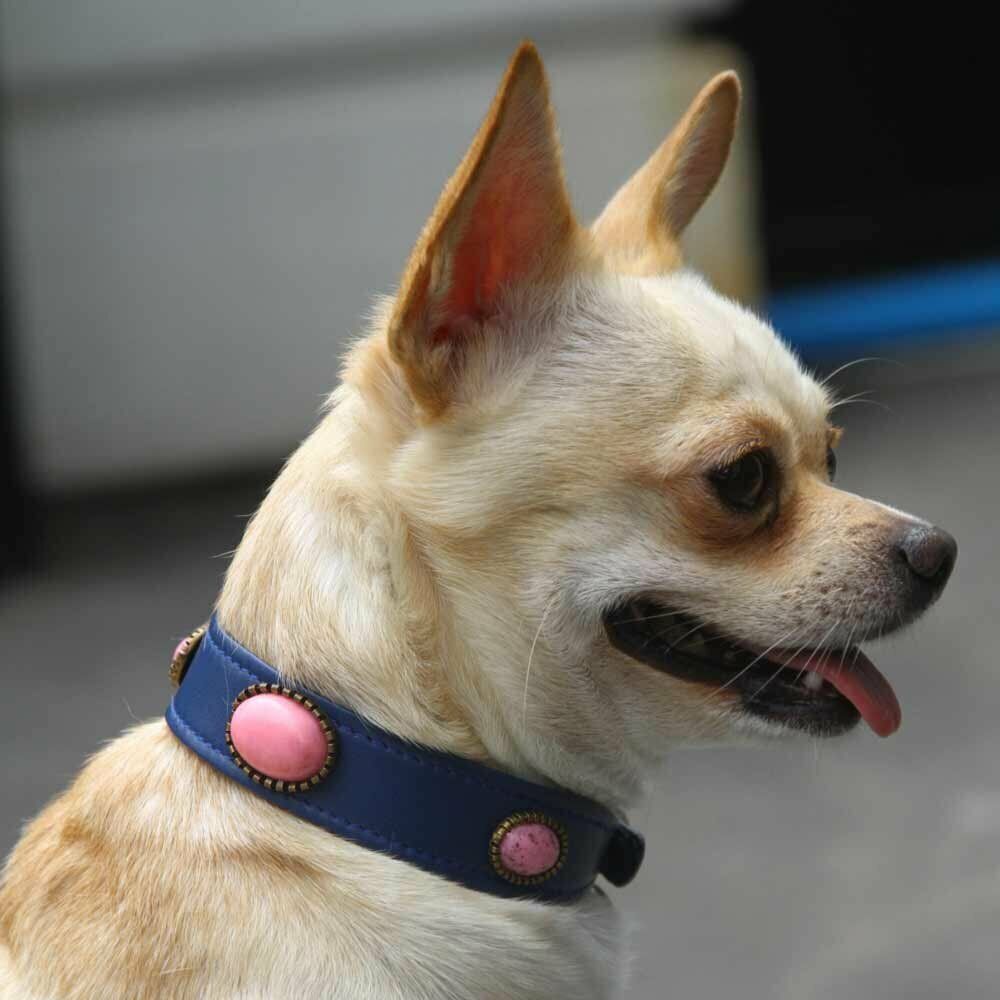 Designer Hundehalsband von DoggyDolly