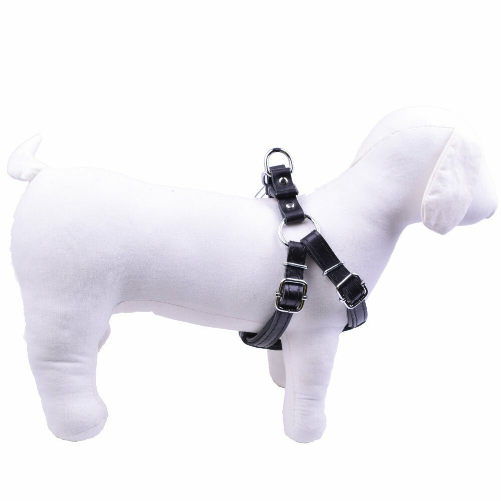 GogiPet® Luxus Lederbrustgeschirr schwarz - extra weiches Hundebrustgeschirr