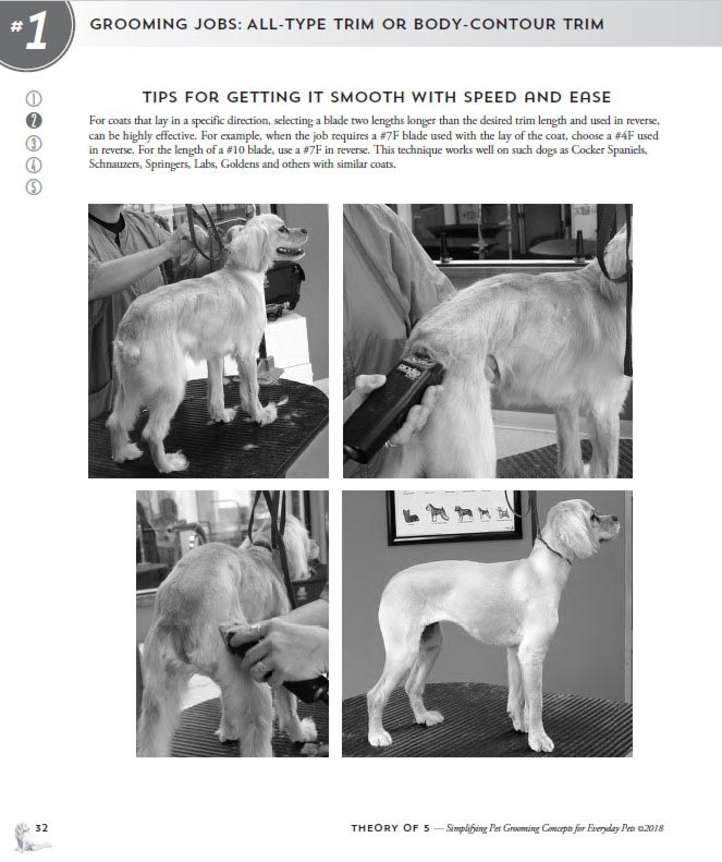 Theory of 5 Siplifying Basic Pet Grooming Concepts for every day Pets