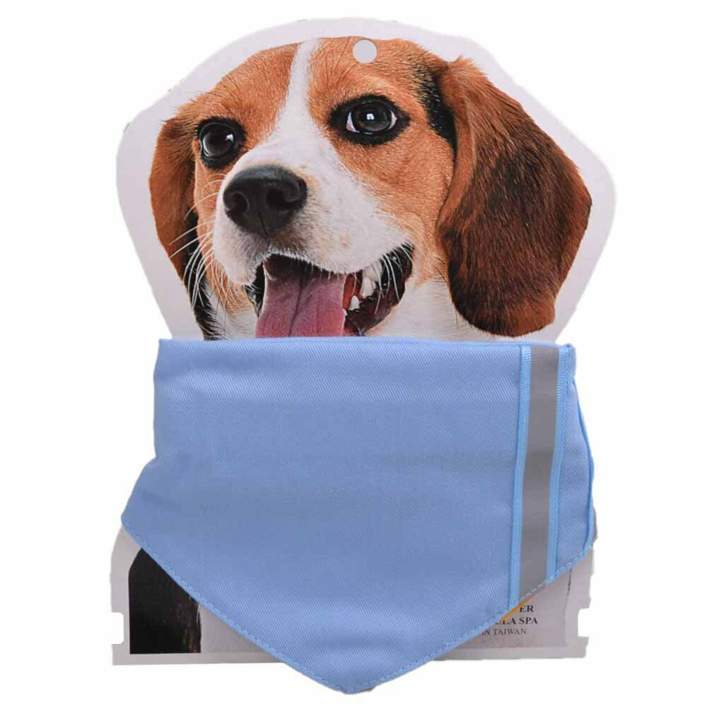 Hellblaues Hundehalsband mit Dreieckstuch und Reflexionsstreifen