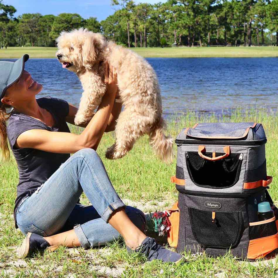Mit diesem Hunderucksack können auch größere Hunde transportiert werden