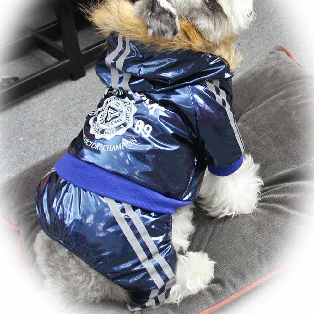 Warme Hundebekleidung günstig kaufen von GogiPet