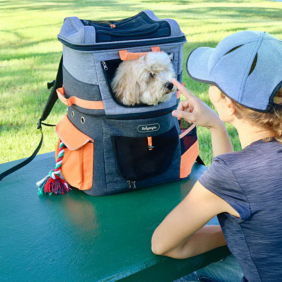Cooler Hunderucksack für Trekking Touren