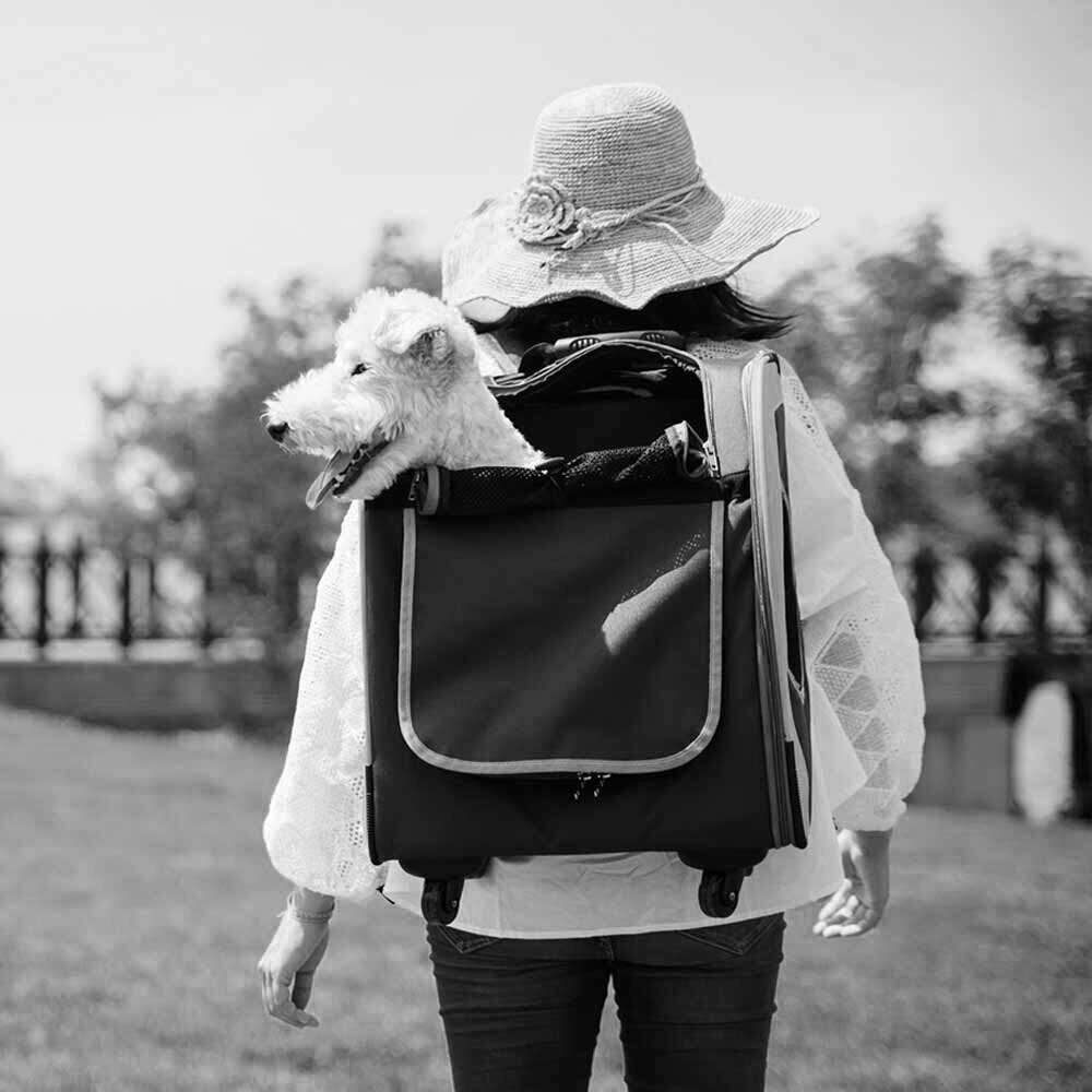 Hunderucksack für Reisen mit Hundetrolleyfunktion