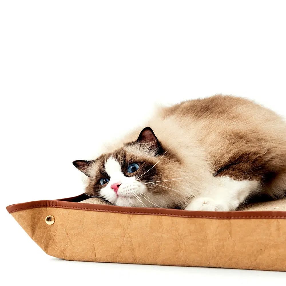 Katzenkratzbett mit Katzenkratzbrett