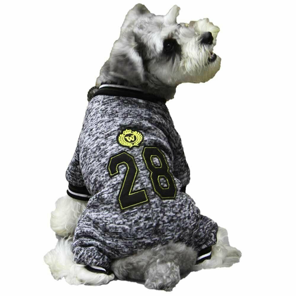 Gute Hundebekleidung billig kaufen bei Onlinezoo