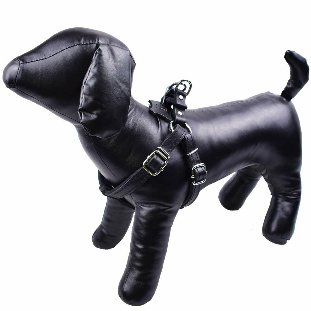 Handgemachtes GogiPet® Komfort Leder Hundebrustgeschirr schwarz