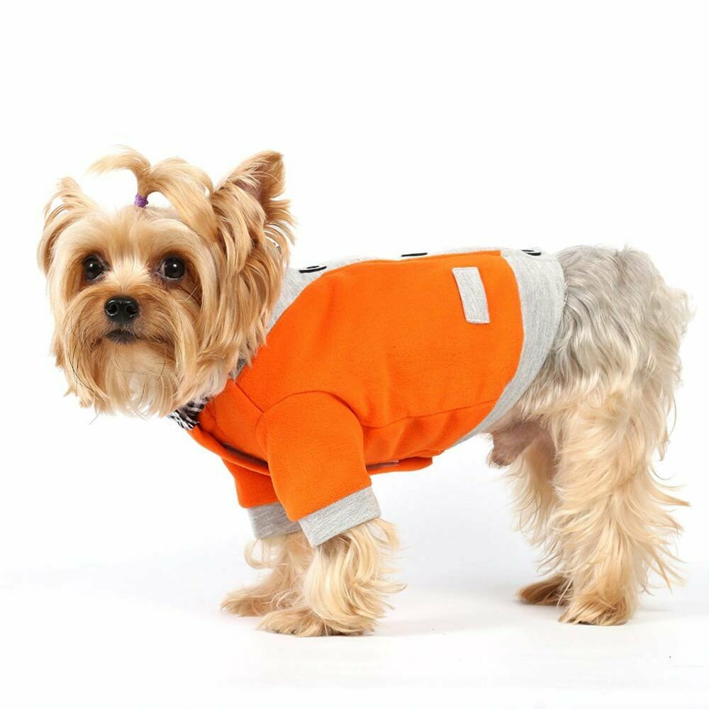 Wunderschöner Anzug für Hunde orange von DoggyDolly
