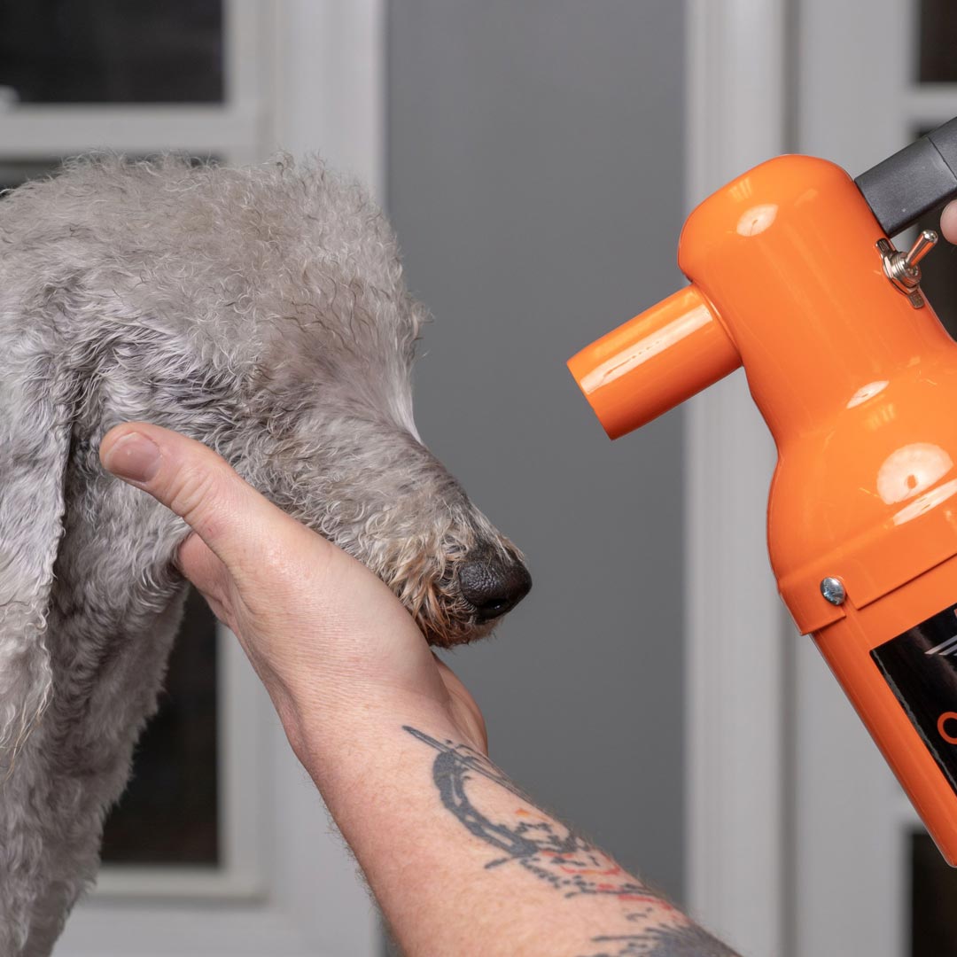 Haartrockner für Haustiere Hundefön Hundetrockner online kaufen 