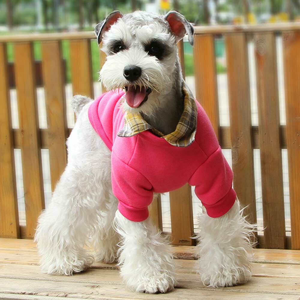 Hundepullover Pink für verwöhnte Hunde