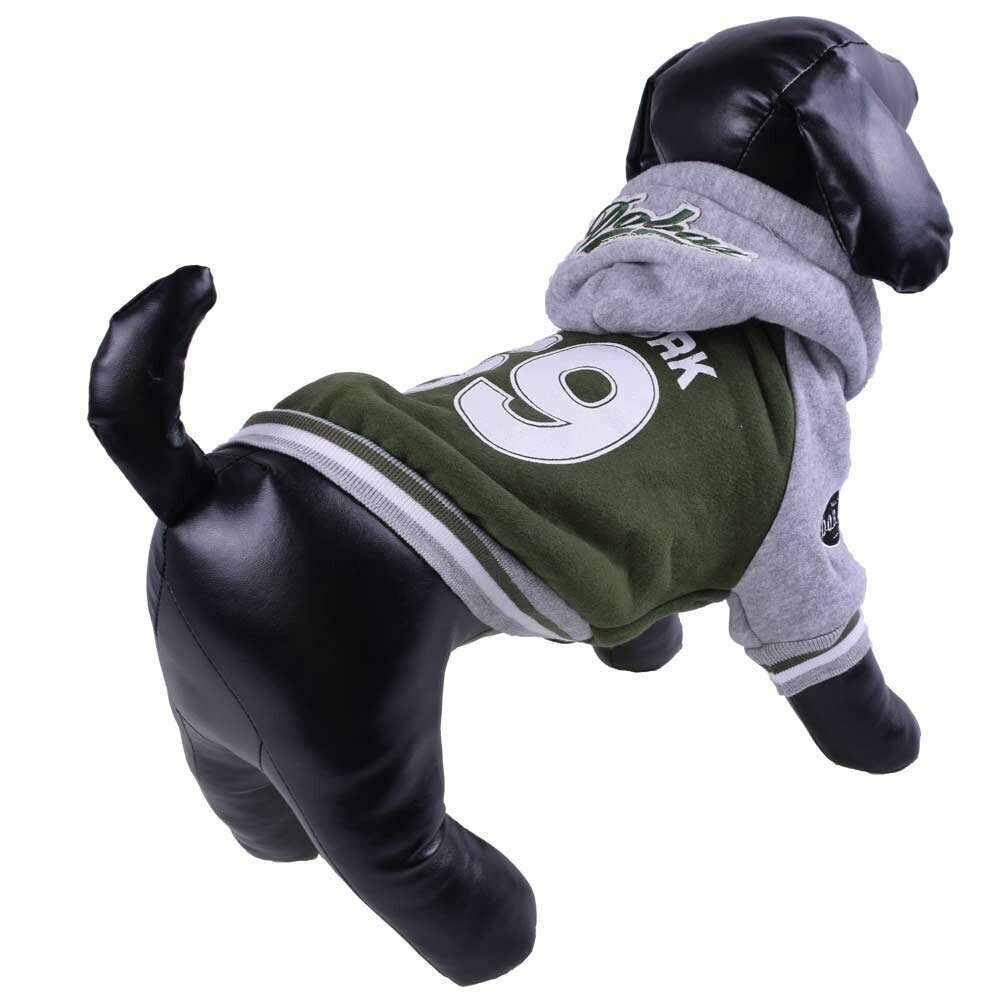 Warme Hundekleidung - sportliche grüne Hundejacke
