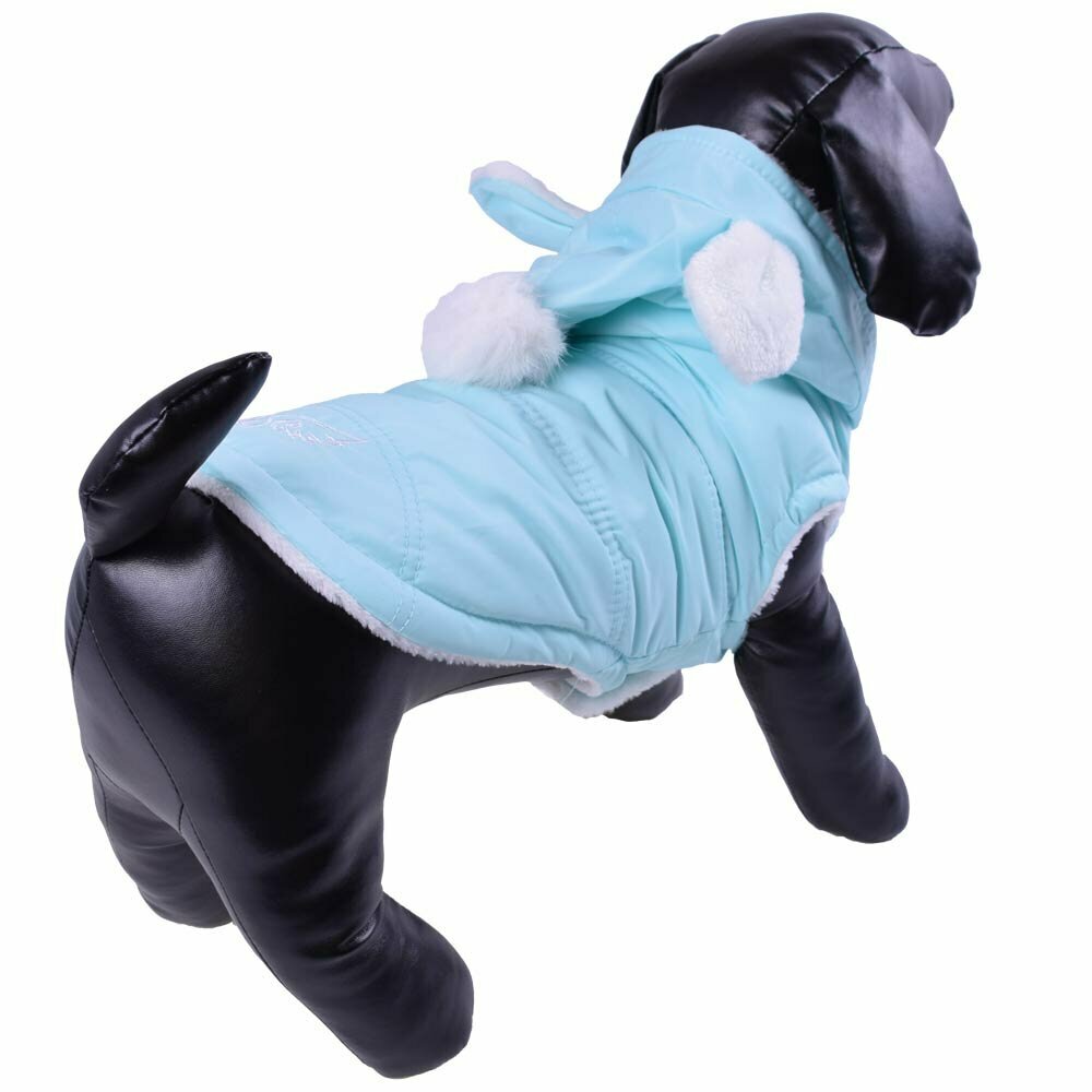 Lieblicher blauer Hundeanorak - warme Hundebekleidung