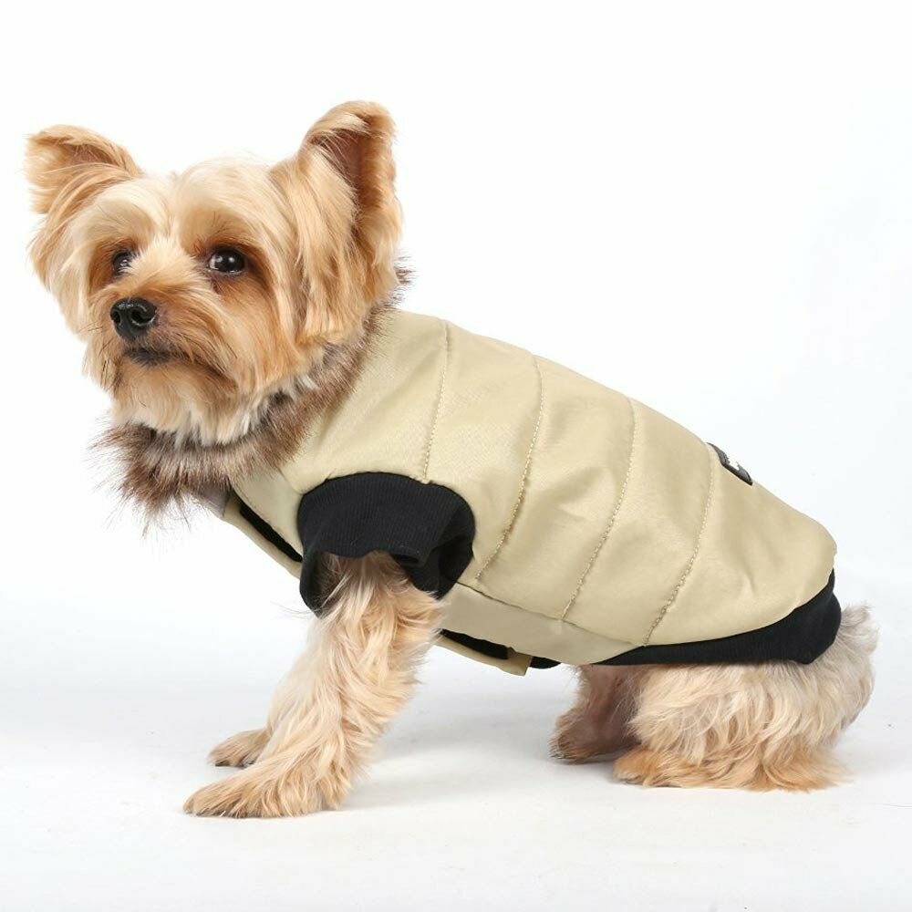 Warme Hundebekleidung von DoggyDolly mit Bestpreisgarantie