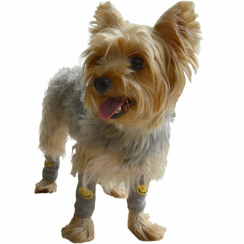 DoggyDolly WM001 - Legwarmer für Hunde - Hundebekleidung