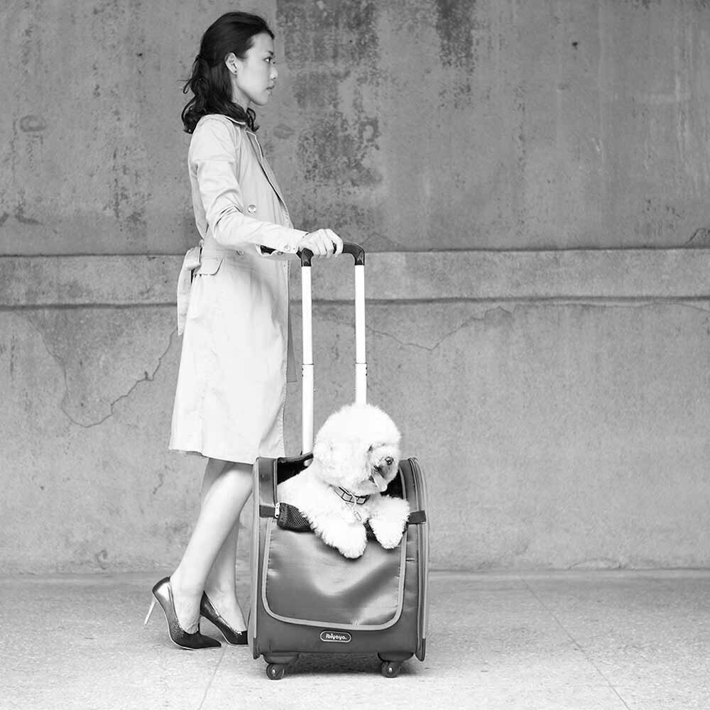 Kofferdesign Hundetolly und Hunderucksack