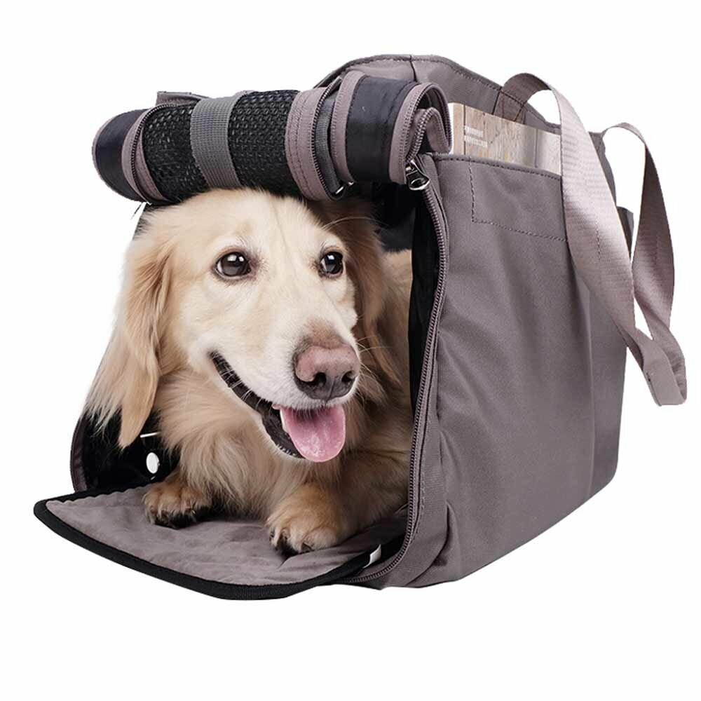 Von GogiPet empfohlene Hundetragetasche