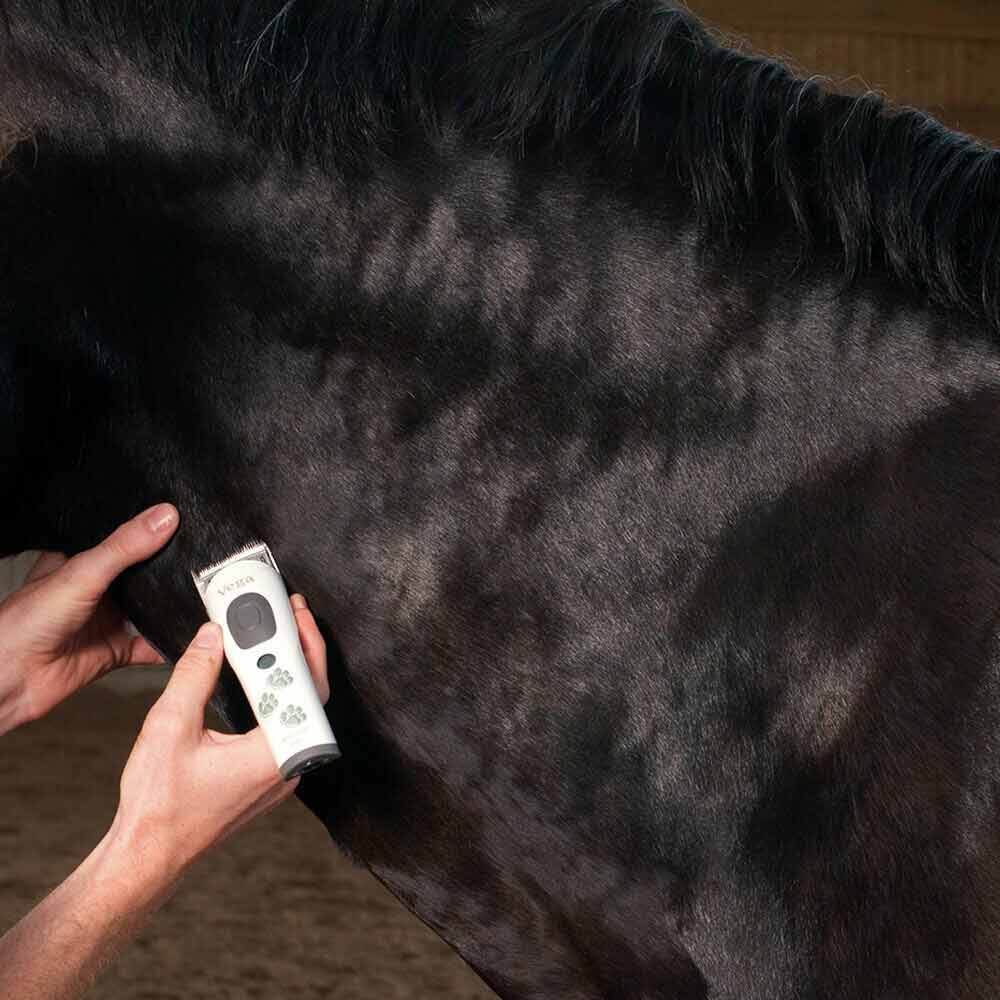 Die kraftvolle Aesculap Vega kann sogar für Pferde verwendet werden um kleinere Stellen zu scheren