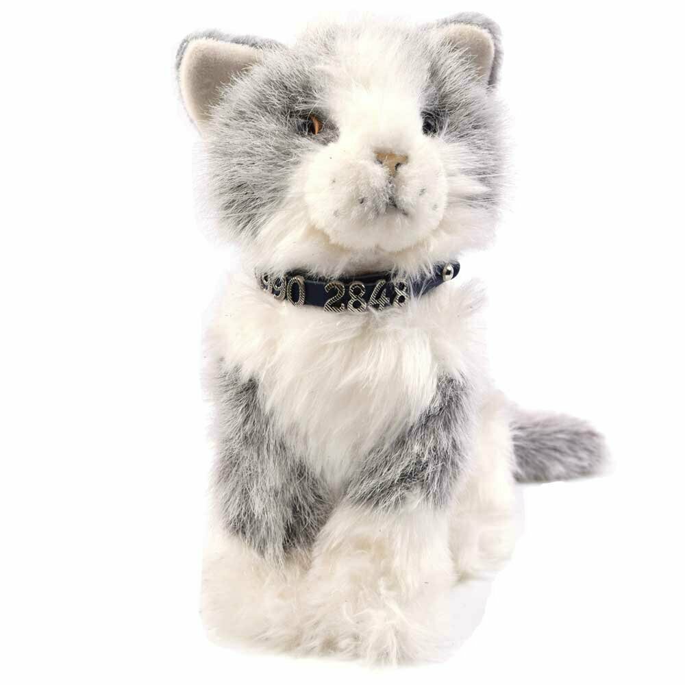 Wunderschönes Halsband für Katzen und kleine Hunde für Namen und Nummern