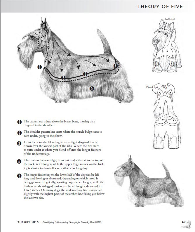 Praktisches Hundepflegebuch für Hundefriseure