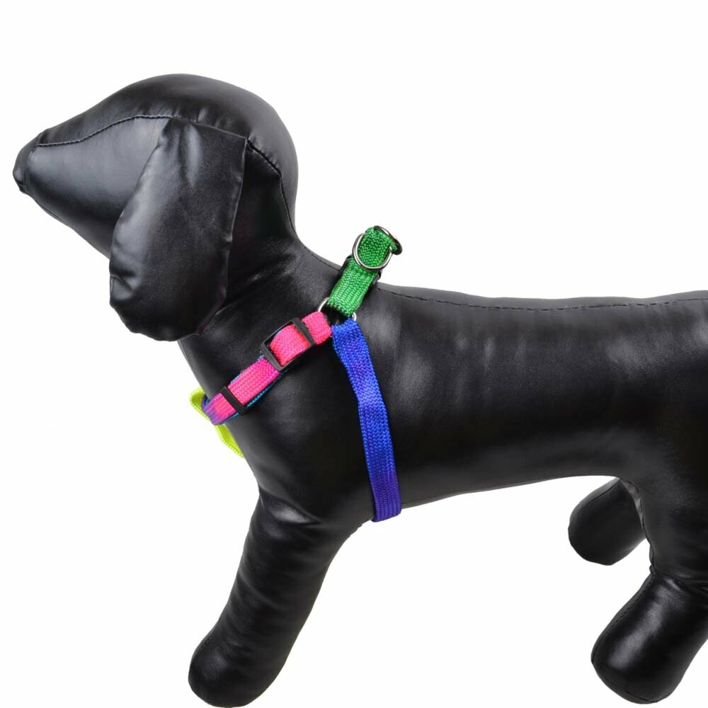 Rainbow Hundebrustgeschirr für kleine Hunde